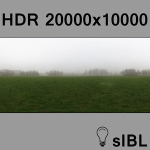 Park with fog