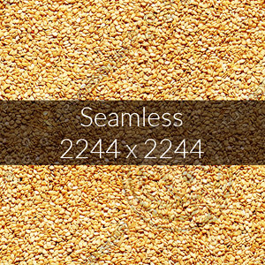 Sesame texture map 06