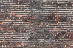 Brick Wall Multicolored