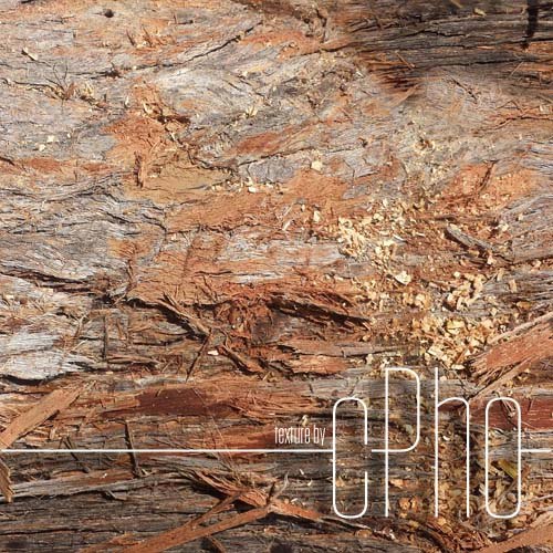 Texture JPEG texture bark stringy