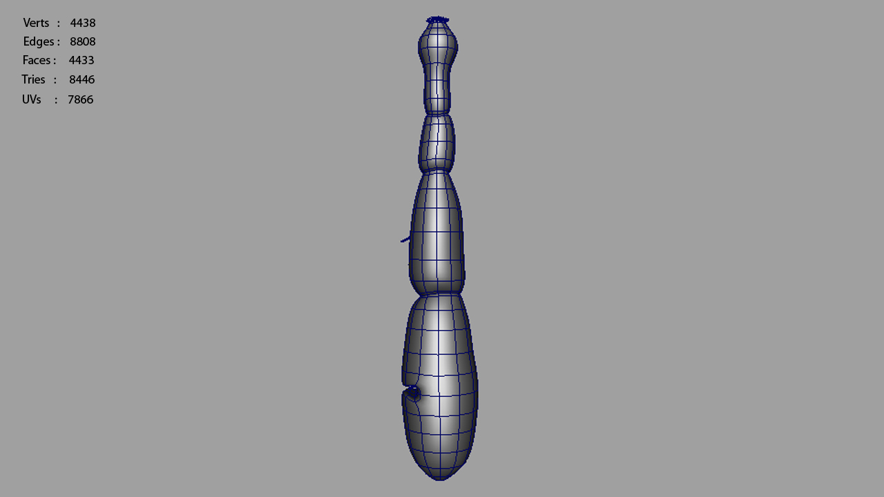 echinococcus granulosus hydatid 3d model