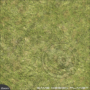 Grass 6