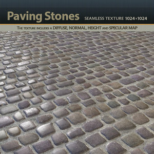 Paving Stones Texture