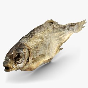 dry fish 2 3d model