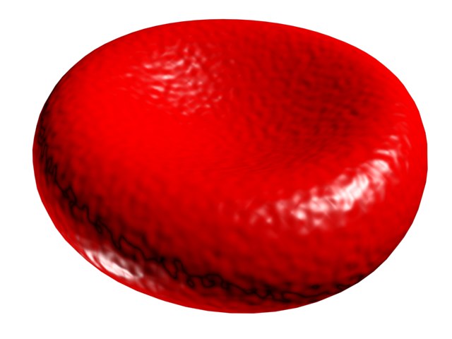 Erythrocyte Red Blood Cell Buy Royalty Free 3d Model By Medical