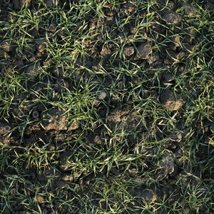 Grass land