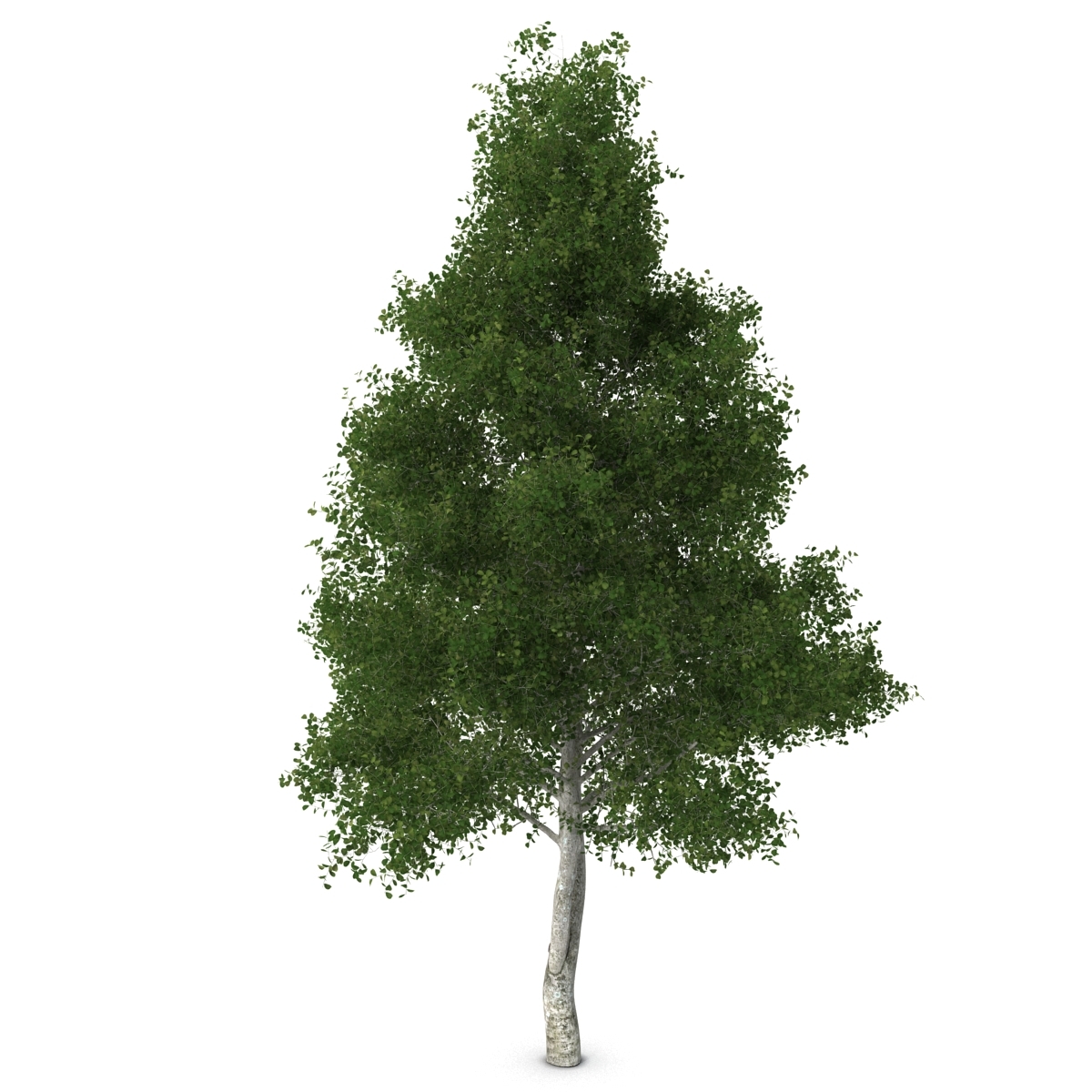 Alphy Tree 3d model