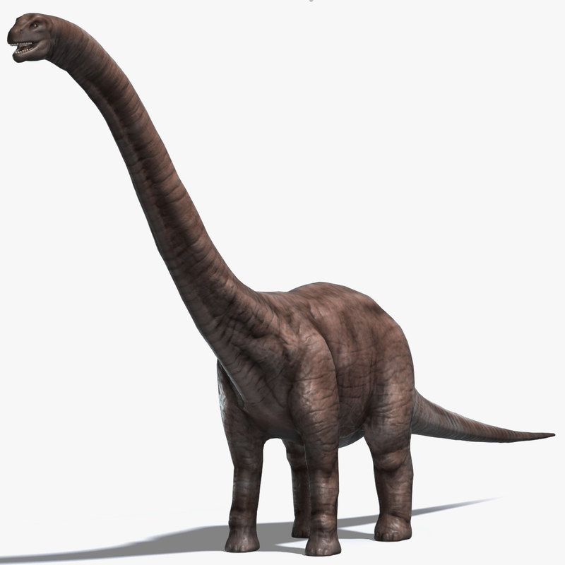 Dinosaur King Brontosaurus. 