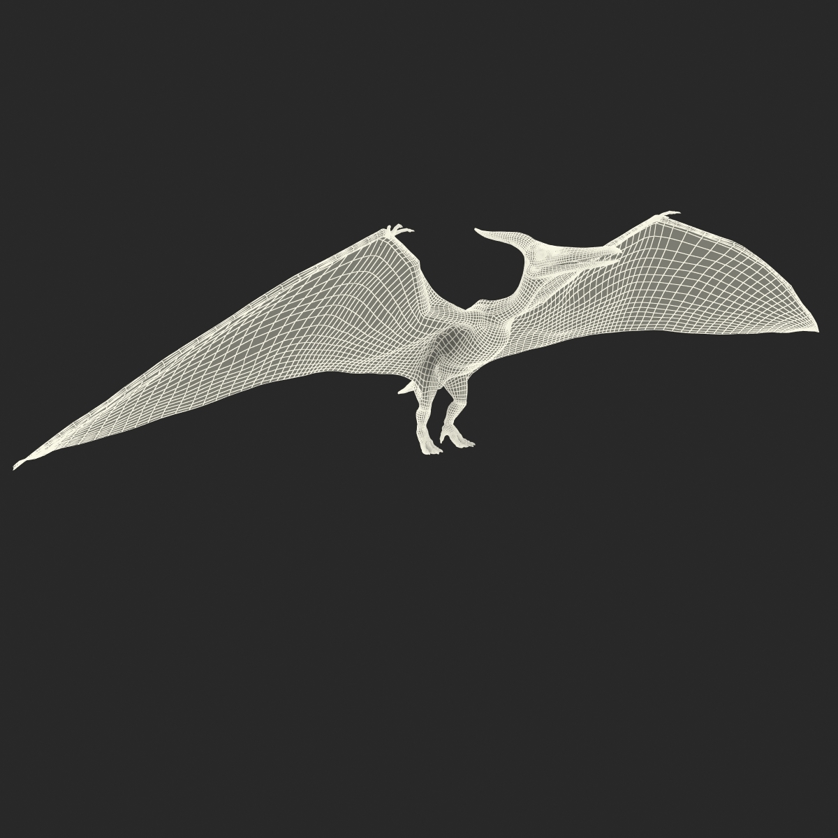 Pterodáctilo Equipado Modelo 3D - TurboSquid 836076