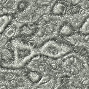 Alien skin organic seamless generated hires texture