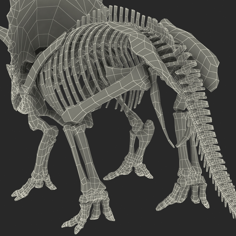 complete t rex skeleton triceratops