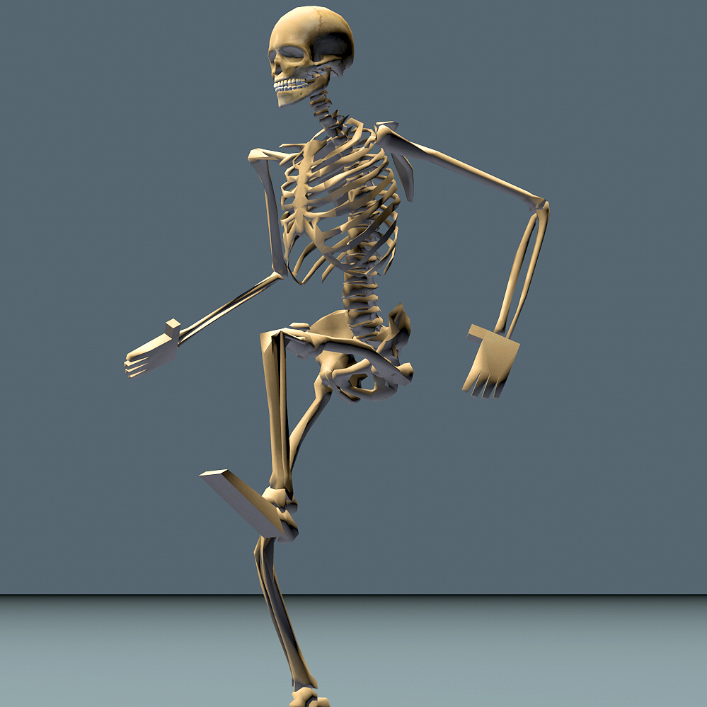 human skeleton 24 animations 3d 3ds