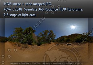 MIDDLE OF EMPTY AFTERNOON MOUNTAIN DIRT ROAD 360 HDR PANORAMA #293