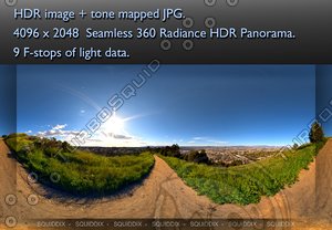 DIRT ROAD THROUGH SUNNY SPRING MOUNTAIN MEADOW 360 HDR PANORAMA #364