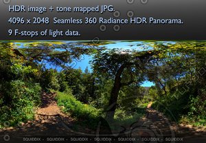 PATH THROUGH OAK FOREST - 2 360 HDR PANORAMA #479