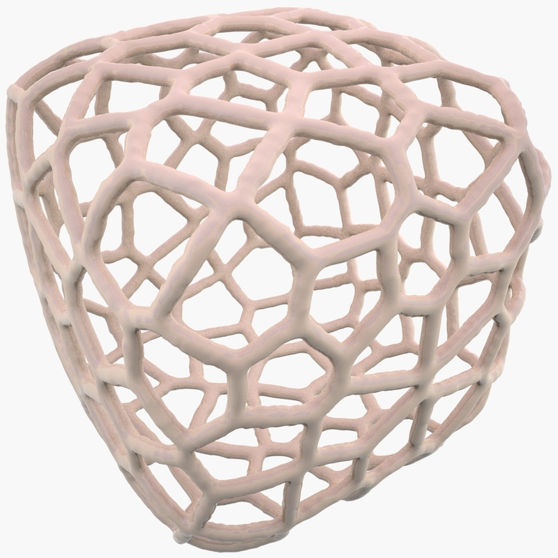 Voronoi Diagrams In 3ds Max Diagram Architecture Form - vrogue.co