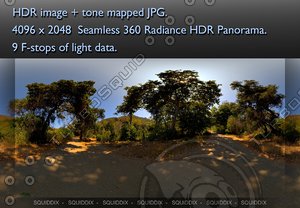 MIDDLE OF EMPTY AFTERNOON PAVED MOUNTAIN ROAD AMONG TREES 360 HDR PANORAMA #288