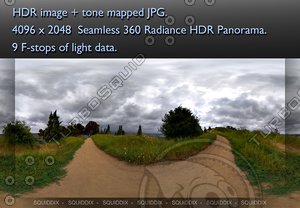 DIRT ROAD THROUGH OVERCAST SPRING MEADOW 360 HDR PANORAMA #272
