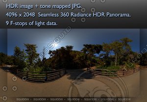MIDDLE OF EMPTY AFTERNOON BRIDGE IN FOREST 360 HDR PANORAMA #295