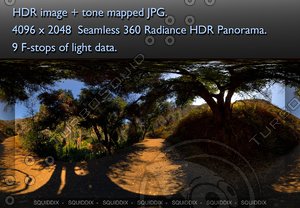 MIDDLE OF EMPTY SHADY MOUNTAIN DIRT ROAD UNDER TREES 360 HDR PANORAMA #299