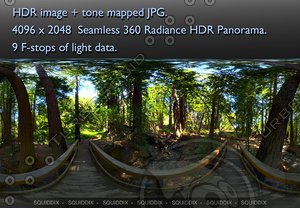 BRIDGE IN RED WOOD FOREST  360 HDR PANORAMA #480