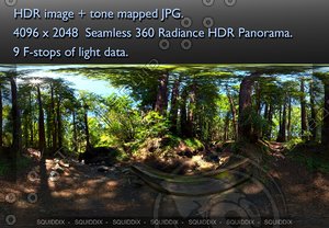 STREAM IN RED WOOD FOREST  360 HDR PANORAMA #481
