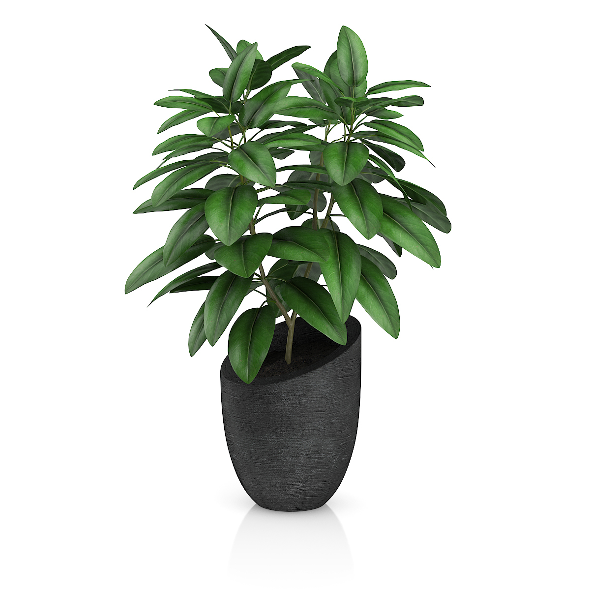 3d model volume 50 plants https://static.turbosquid.com/Preview/2014/08/02__06_48_13/vol50_c4d_800.jpg66668afe-1496-4ca7-9013-b657b0d662ebOriginal.jpg