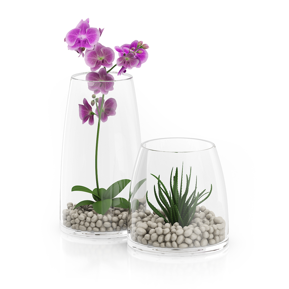 3d model volume 50 plants https://static.turbosquid.com/Preview/2014/08/02__06_48_13/vol50_c4d_800.jpg66668afe-1496-4ca7-9013-b657b0d662ebOriginal.jpg