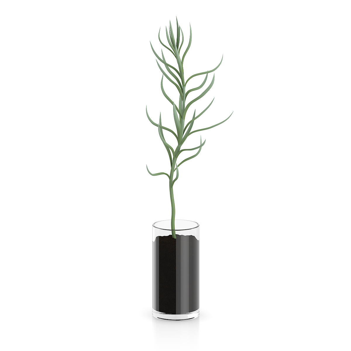 3d model volume 50 plants https://static.turbosquid.com/Preview/2014/08/02__06_48_13/vol50_c4d_800.jpg66668afe-1496-4ca7-9013-b657b0d662ebOriginal.jpg