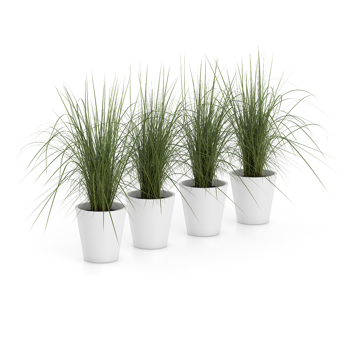 3d model volume 50 plants https://static.turbosquid.com/Preview/2014/08/02__06_48_13/vol50_c4d_800.jpg66668afe-1496-4ca7-9013-b657b0d662ebOriginal.jpg