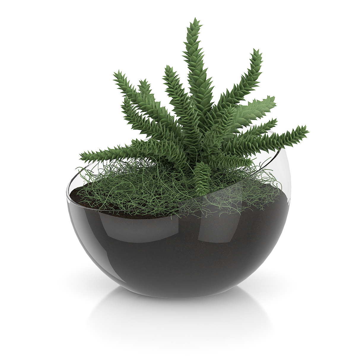 3d model volume 50 plants https://static.turbosquid.com/Preview/2014/08/02__06_48_13/vol50_c4d_800.jpg66668afe-1496-4ca7-9013-b657b0d662ebOriginal.jpg