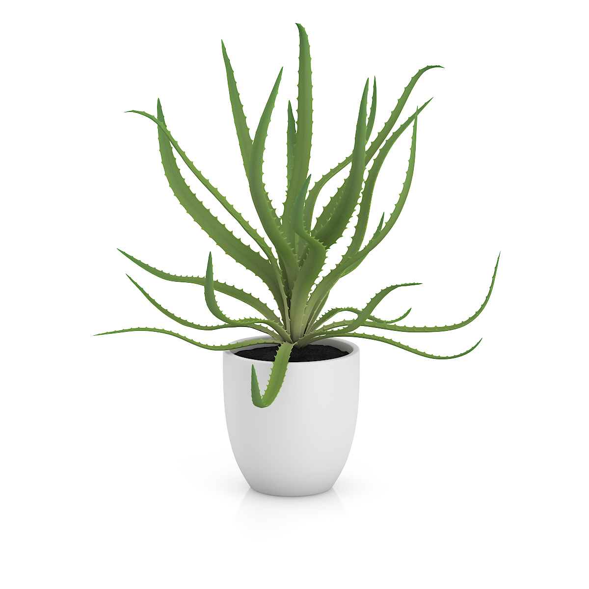 3d model volume 50 plants https://static.turbosquid.com/Preview/2014/08/02__06_48_13/vol50_c4d_800.jpg66668afe-1496-4ca7-9013-b657b0d662ebOriginal.jpg