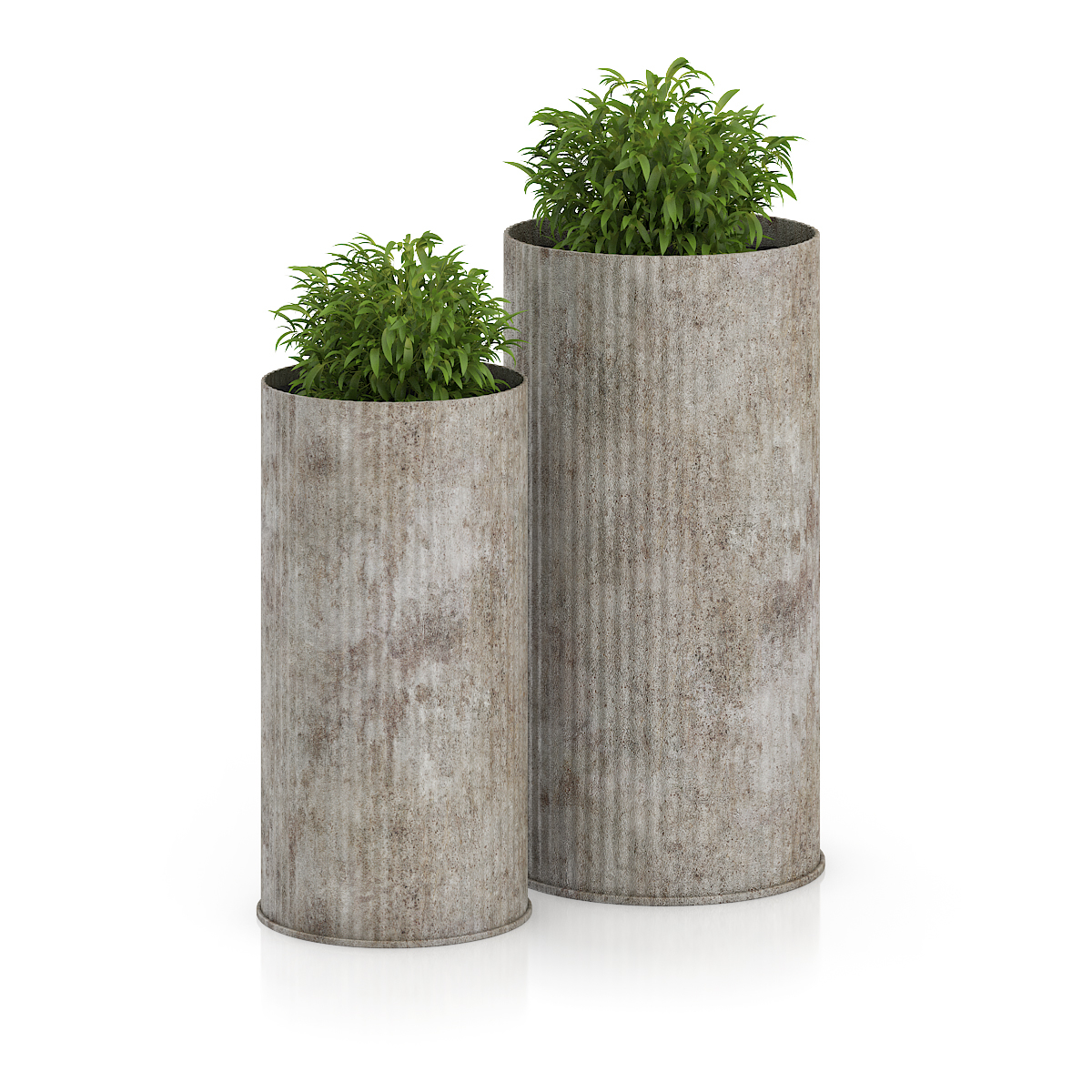 3d model volume 50 plants https://static.turbosquid.com/Preview/2014/08/02__06_48_13/vol50_c4d_800.jpg66668afe-1496-4ca7-9013-b657b0d662ebOriginal.jpg