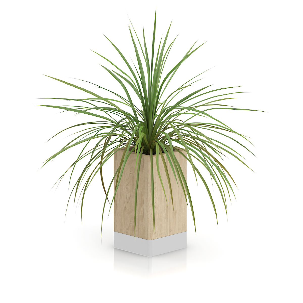 3d model volume 50 plants https://static.turbosquid.com/Preview/2014/08/02__06_48_13/vol50_c4d_800.jpg66668afe-1496-4ca7-9013-b657b0d662ebOriginal.jpg