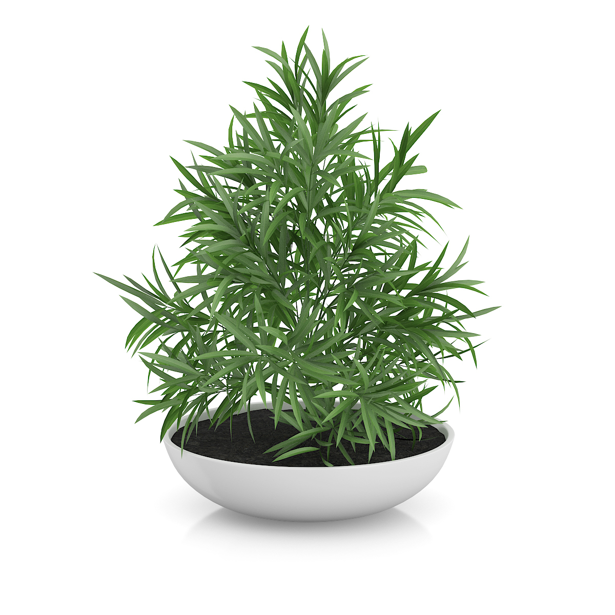 3d model volume 50 plants https://static.turbosquid.com/Preview/2014/08/02__06_48_13/vol50_c4d_800.jpg66668afe-1496-4ca7-9013-b657b0d662ebOriginal.jpg