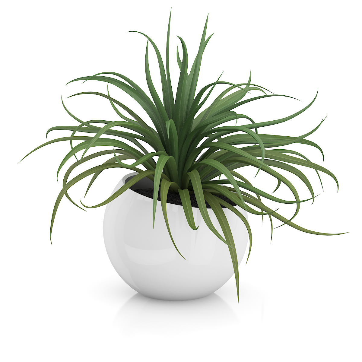 3d model volume 50 plants https://static.turbosquid.com/Preview/2014/08/02__06_48_13/vol50_c4d_800.jpg66668afe-1496-4ca7-9013-b657b0d662ebOriginal.jpg