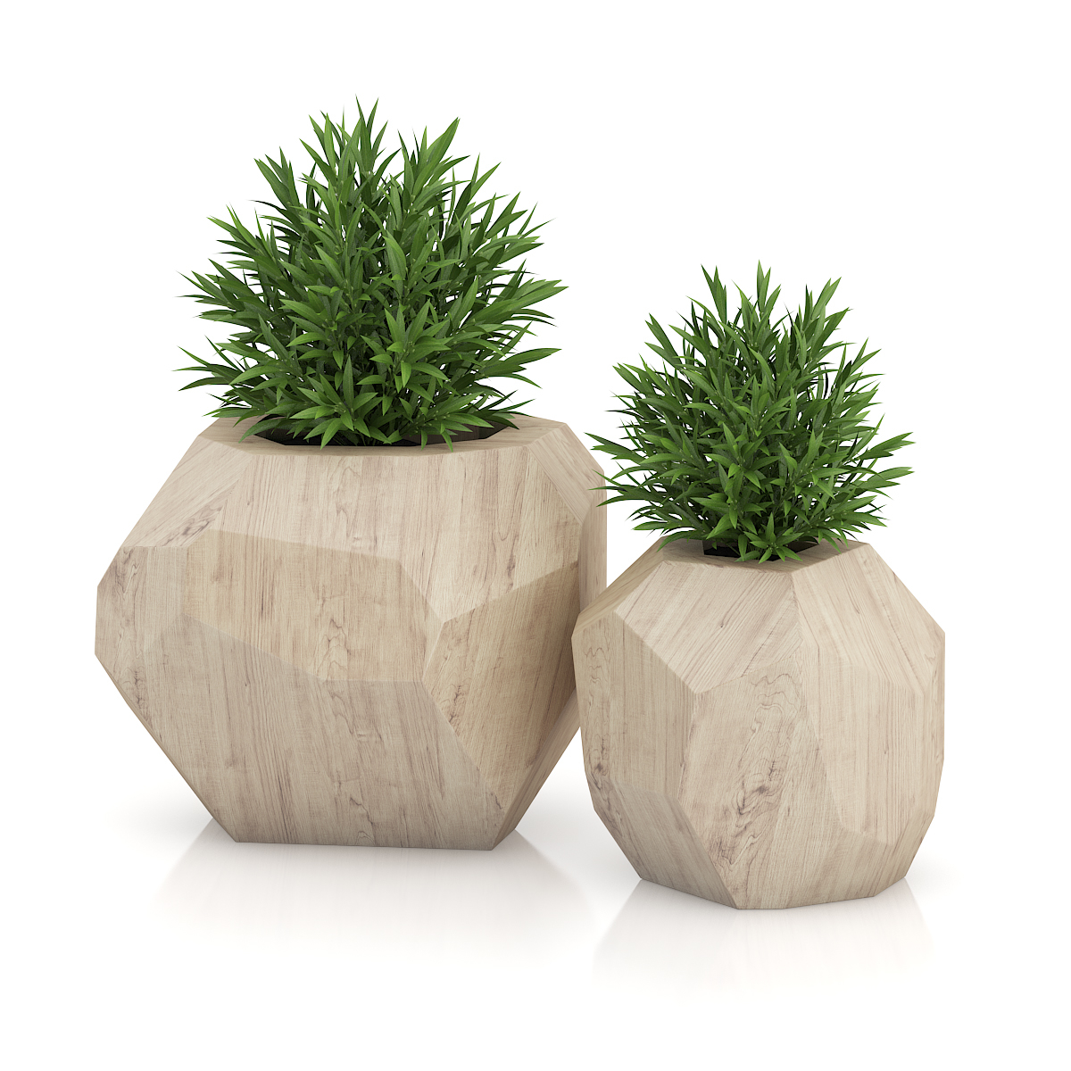 3d model volume 50 plants https://static.turbosquid.com/Preview/2014/08/02__06_48_13/vol50_c4d_800.jpg66668afe-1496-4ca7-9013-b657b0d662ebOriginal.jpg