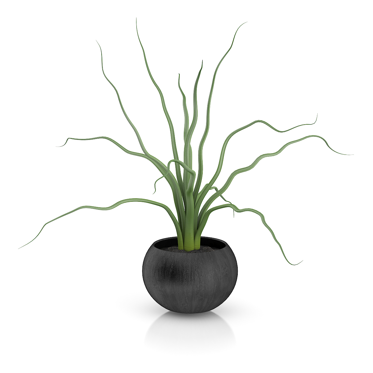 3d model volume 50 plants https://static.turbosquid.com/Preview/2014/08/02__06_48_13/vol50_c4d_800.jpg66668afe-1496-4ca7-9013-b657b0d662ebOriginal.jpg