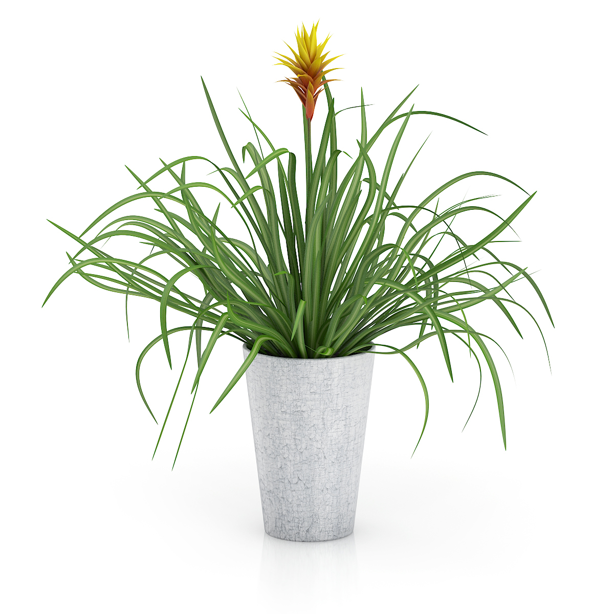 3d model volume 50 plants https://static.turbosquid.com/Preview/2014/08/02__06_48_13/vol50_c4d_800.jpg66668afe-1496-4ca7-9013-b657b0d662ebOriginal.jpg