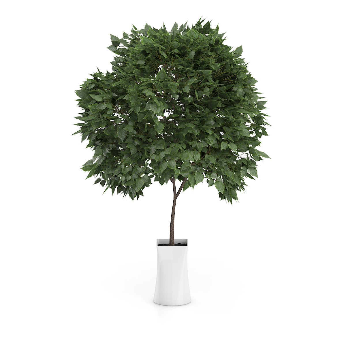 3d model volume 50 plants https://static.turbosquid.com/Preview/2014/08/02__06_48_13/vol50_c4d_800.jpg66668afe-1496-4ca7-9013-b657b0d662ebOriginal.jpg