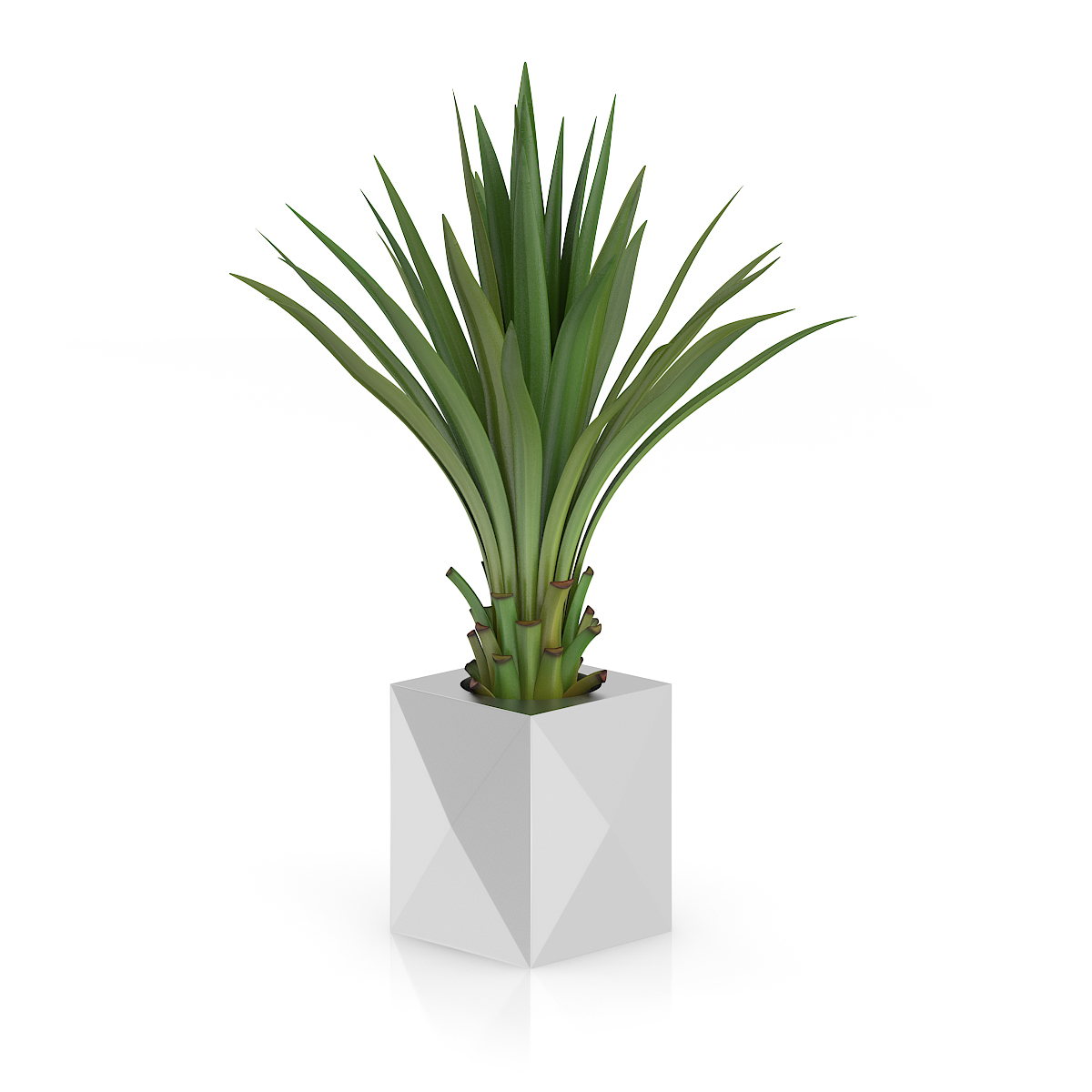 3d model volume 50 plants https://static.turbosquid.com/Preview/2014/08/02__06_48_13/vol50_c4d_800.jpg66668afe-1496-4ca7-9013-b657b0d662ebOriginal.jpg