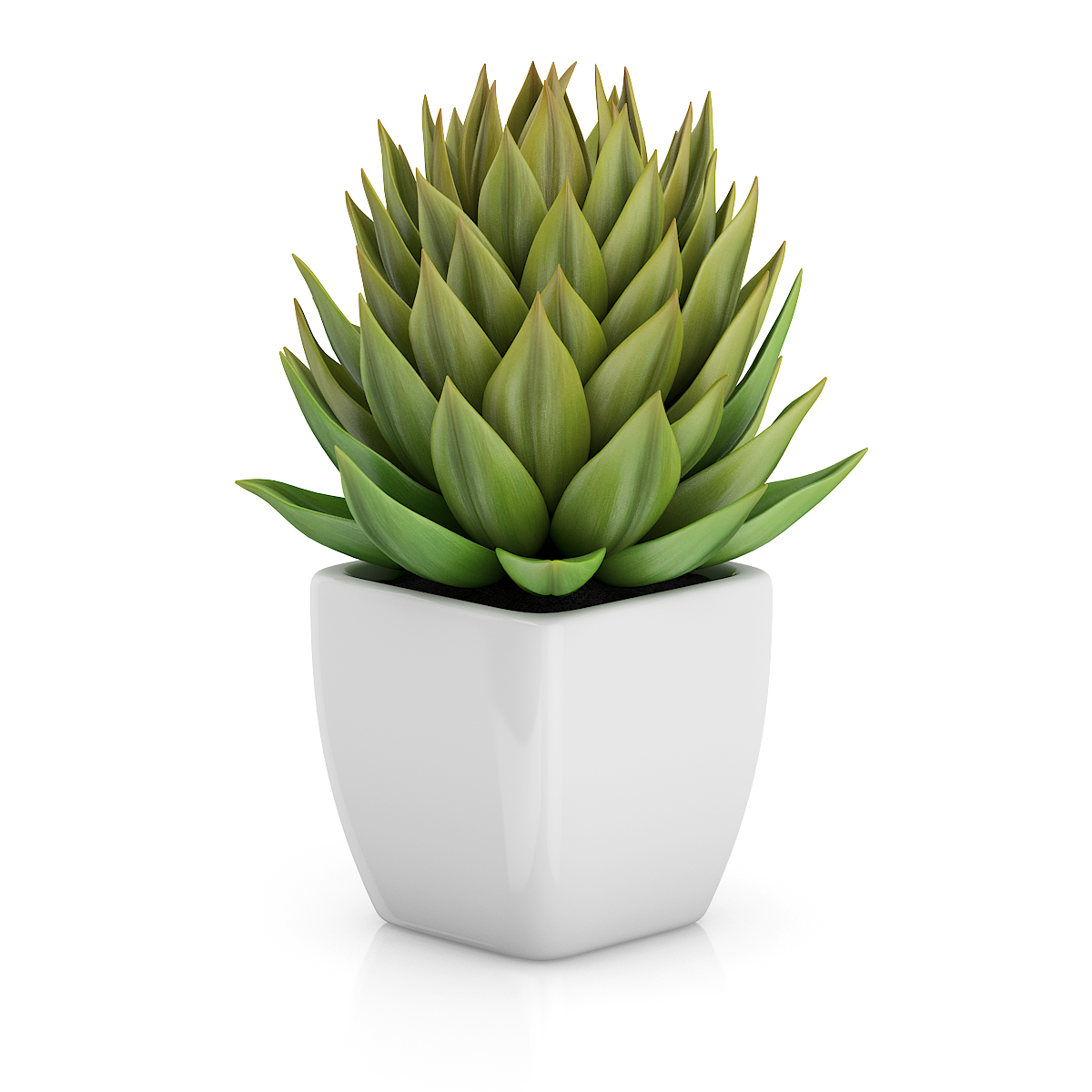 3d model volume 50 plants https://static.turbosquid.com/Preview/2014/08/02__06_48_13/vol50_c4d_800.jpg66668afe-1496-4ca7-9013-b657b0d662ebOriginal.jpg