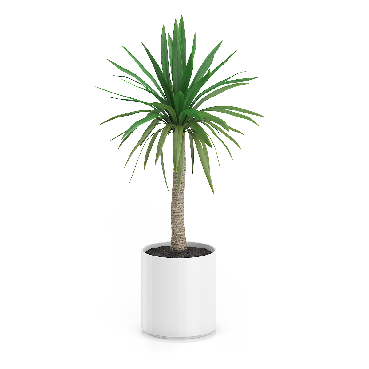 3d model volume 50 plants https://static.turbosquid.com/Preview/2014/08/02__06_48_13/vol50_c4d_800.jpg66668afe-1496-4ca7-9013-b657b0d662ebOriginal.jpg