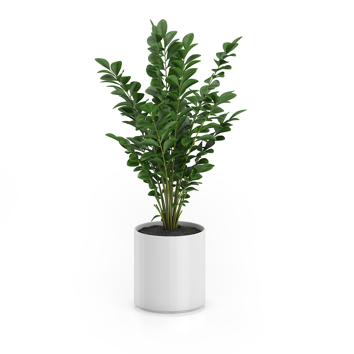 3d model volume 50 plants https://static.turbosquid.com/Preview/2014/08/02__06_48_13/vol50_c4d_800.jpg66668afe-1496-4ca7-9013-b657b0d662ebOriginal.jpg