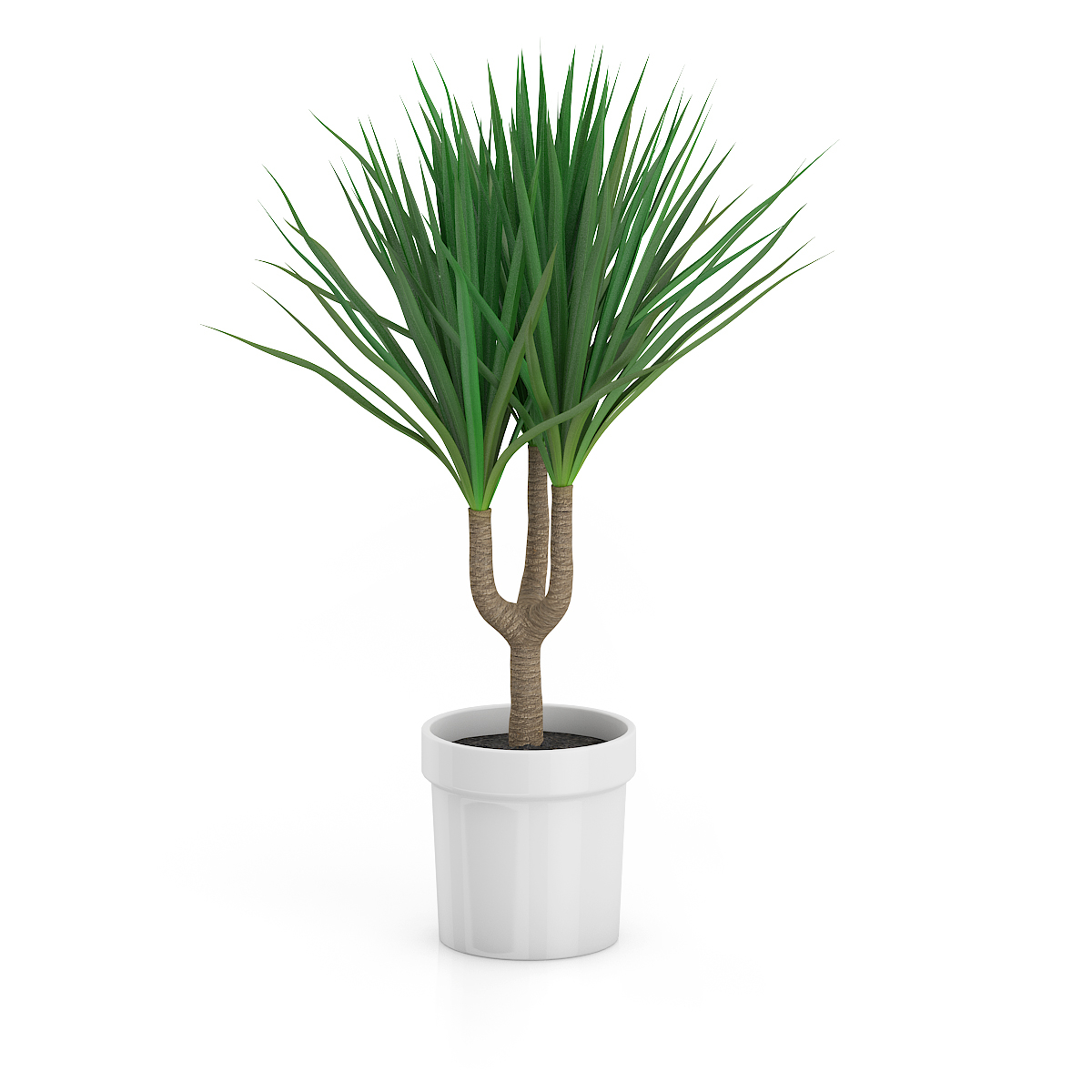 3d model volume 50 plants https://static.turbosquid.com/Preview/2014/08/02__06_48_13/vol50_c4d_800.jpg66668afe-1496-4ca7-9013-b657b0d662ebOriginal.jpg