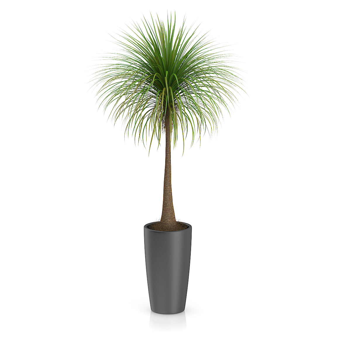 3d model volume 50 plants https://static.turbosquid.com/Preview/2014/08/02__06_48_13/vol50_c4d_800.jpg66668afe-1496-4ca7-9013-b657b0d662ebOriginal.jpg