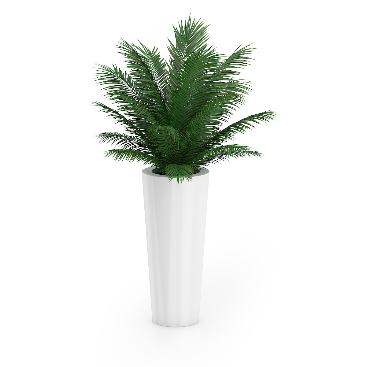 3d model volume 50 plants https://static.turbosquid.com/Preview/2014/08/02__06_48_13/vol50_c4d_800.jpg66668afe-1496-4ca7-9013-b657b0d662ebOriginal.jpg