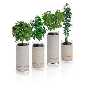3d model herbs glass