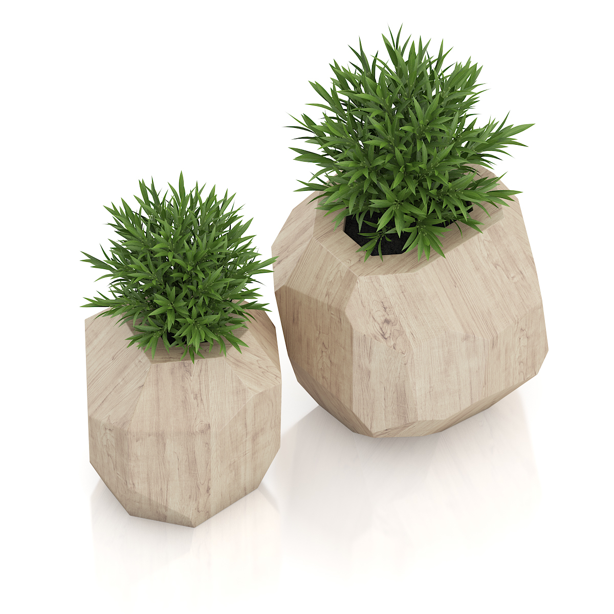 max plants wooden pots