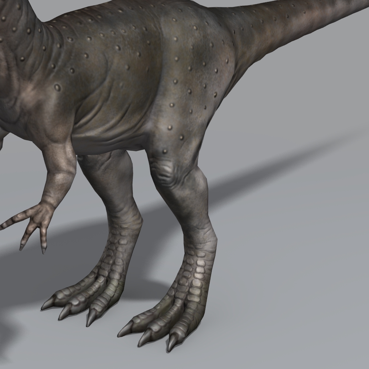 allosaurus realistic